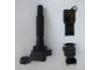 Zündspule Ignition Coil:F01R00A081