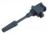 Ignition Coil:22448-31U01